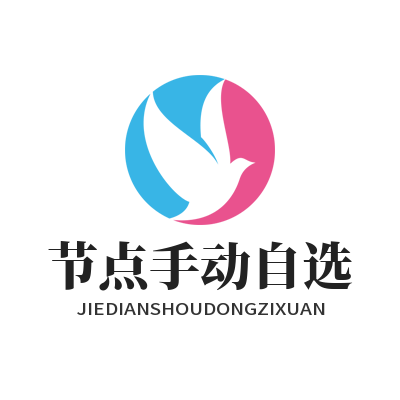 快联VPN 节点手动自选